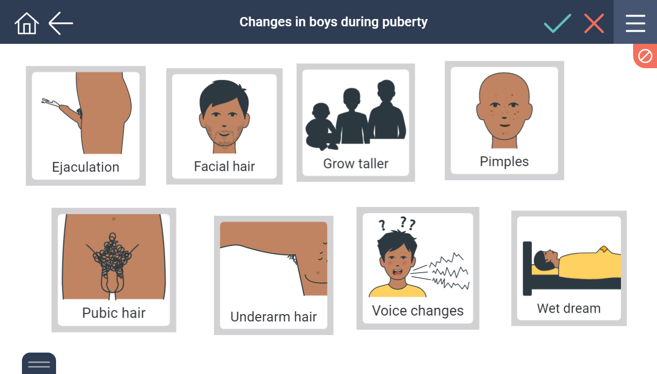 Boys Puberty Chart - Changes In Boys During Puberty Secca.