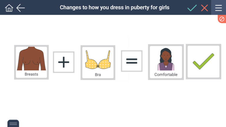 girls wear a bra from puberty