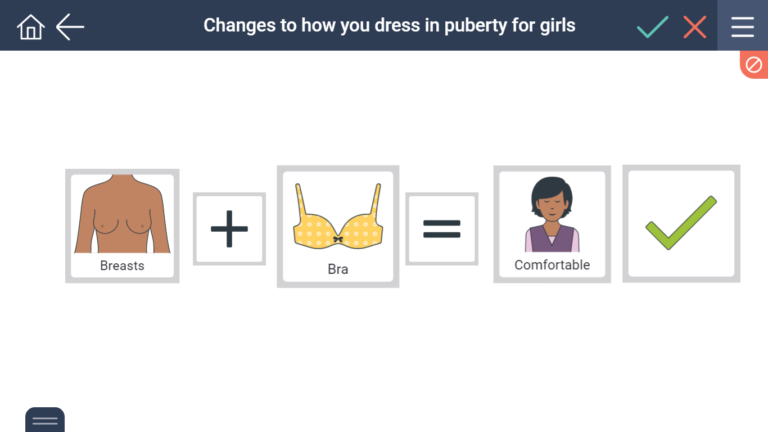 girls wear bras from puberty onwards