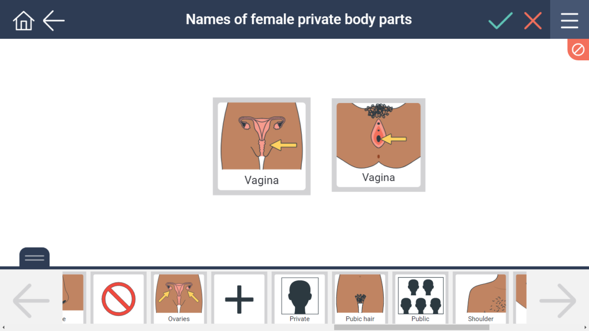 Names of female private body parts | SECCA