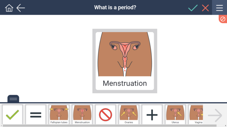 menstruation