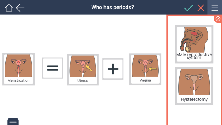 body parts needed for menstruation