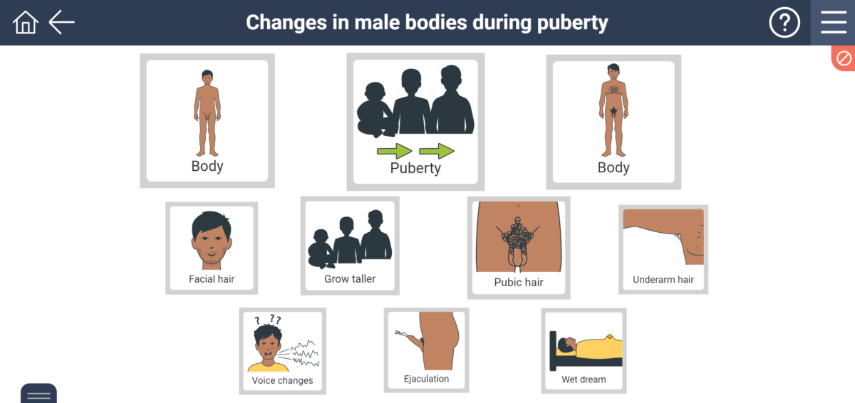 Changes in boys during puberty | SECCA